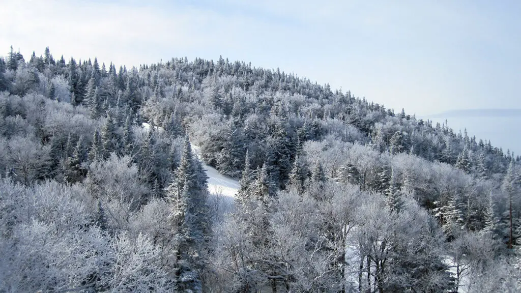 Burke Mountain