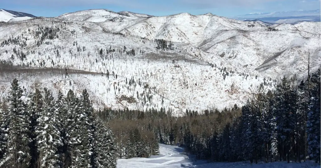 Pajarito Mountain